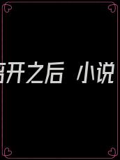离开之后 小说